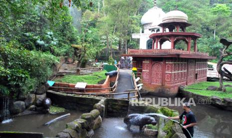 Pekerja memandikan kuda nil di kawasan Baby Zoo, Taman Safari Indonesia (TSI), Cisarua, Kabupaten Bogor, Jawa Barat, Rabu (27/5/2020). TSI Bogor masih ditutup sementara untuk pengunjung hingga menunggu keputusan dari pemerintah daerah setempat terkait pandemi COVID-19 dan penerapan Pembatasan Sosial Berskala Besar (PSBB) di wilayah Kabupaten Bogor yang diperpanjang hingga tanggal 29 Mei 2020