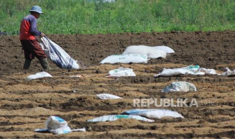 Pahala tidak Berputus Asa
