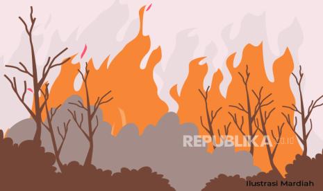 Ilustrasi Kebakaran Hutan. Kebakaran di Bukit Teropong berhasil dipadamkan