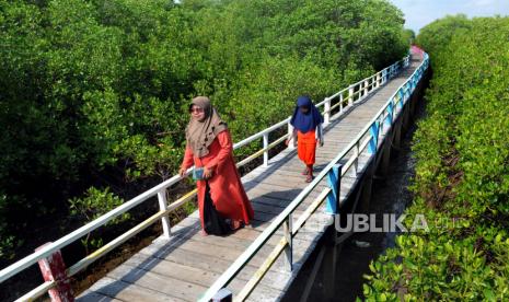 Ilustrasi. Warga menikmati suasana ekowisata hutan mangrove.