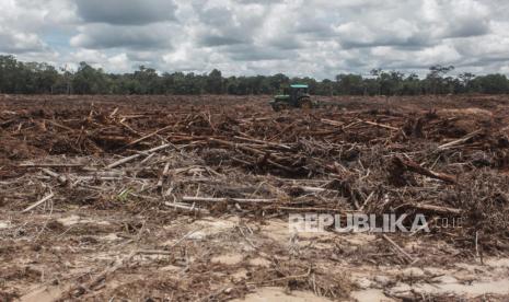 Pekerja menggunakan traktor saat mengolah tanah untuk tanaman singkong di areal lumbung pangan nasional food estate di Tewai Baru, Kabupaten Gunung Mas, Kalimantan Tengah, Sabtu (6/3). Pemerintah Pusat menargetkan 30 ribu hektare luas lahan untuk Food Estate dengan komoditas singkong di daerah tersebut sudah tergarap secara maksimal pada tahun 2021, guna mendukung program cadangan pangan strategis nasional. 