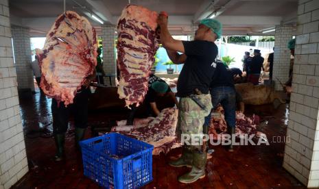 Panitia memotong daging hewan kurban yang telah disembelih di Rumah Potong Hewan (RPH) Masjid Istiqlal, Jakarta, Sabtu (1/7/2023). Pada tahun 2023 ini masjid Istiqlal menyembelih 43 ekor sapi dan 8 ekor kambing jumlah itu meningkat hampir 50 persen di banding tahun 2022 lalu. Sedangkan untuk pendistribusian daging kurban tidak dilakukan secara langsung, namun dilakukan melalui perwailan Masjid, Mushola, Yayasan atau Lembaga yang telah mengajukan permohonan berupa proposal. 