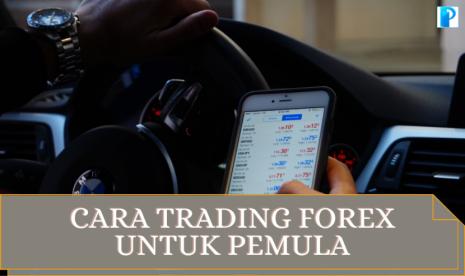 Cara Trading Forex yang Benar Untuk Pemula Agar Bisa Profit