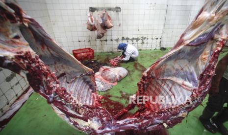 Mahasiswa Fakultas Kedokteran Hewan IPB memeriksa kesehatan daging kurban setelah dipotong di Rumah Pemotongan Hewan (RPH) Kota Bogor, Jawa Barat, Jumat (31/7/2020). Pemeriksaan sesudah pemotongan hewan kurban tersebut untuk mengantisipasi penyebaran penyakit dari hewan kurban.  ANTARA FOTO/Yulius Satria Wijaya/pras.