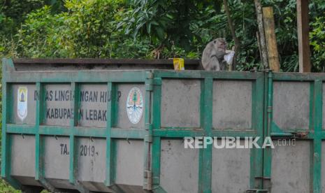 Seekor monyet ekor panjang (Macaca fascicularis) mengais makanan di tumpukan sampah limbah rumah tangga di Gunung Kencana, Lebak, Banten. Badan Pangan Dunia (FAO) menyebut food waste atau terbuangnya pangan dari proses produksi hingga konsumsi serta dampak dari perubahan iklim menjadi tantangan besar sektor pertanian dunia di masa depan seiring bertumbuhnya penduduk global.