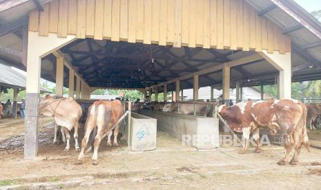 Aktivitas di Pasar Hewan Manonjaya, Kecamatan Manonjaya, Kabupaten Tasikmalaya, Rabu (14/6/2023). Penjualan hewan kurban di pasar itu jauh mengalami peningkatan dibandingkan tahun lalu ketika wabah PMK menyerang.