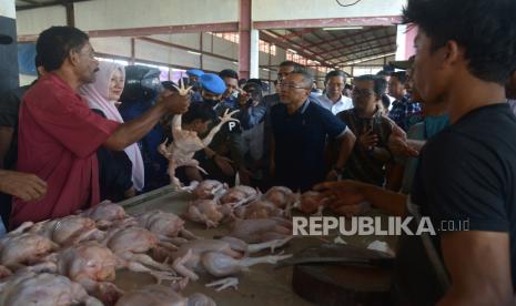 Menteri Perdagangan Zulkifli Hasan (tengah) berbincang dengan pedagang saat meninjau ketersediaan bahan pangan, daging ayam potong di Pasar Al Mahirah, Banda Aceh, Aceh. Di tengah kenaikan harga telur ayam ras yang dikeluhkan konsumen, situasi berbeda harus dialami oleh para peternak ayam broiler. Pasalnya, harga daging ayam ras tengah mengalami penurunan dalam hingga di bawah biaya produksi.