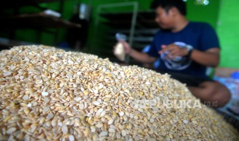 Perajin mengemas kedelai di pabrik tempe Muchlar, Bantul, Yogyakarta, Rabu (2/11/2022). Perum Bulog merealisasikan importasi kedelai dari Amerika Serikat setelah sebelumnya turut menjajaki impor dari Afrika Selatan.