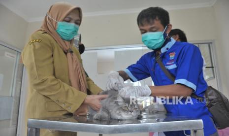 Petugas kesehatan hewan (Puskeswan) menyuntikkan vaksin rabies secara gratis kepada hewan peliharaan milik warga dalam rangka Hari Rabies Sedunia di Puskeswan Gandus, Palembang, Sumatera Selatan, Senin (28/9/2020). Pemerintah Kota Palembang memberikan ribuan vaksin gratis di Puskeswan dan disebar ke seluruh klinik hewan untuk mengantisipasi penyakit rabies di Kota Palembang. 