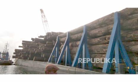 Kayu 3 Ribu Kubik dari Tanah Ulayat Ditahan Warga di Mentawai.