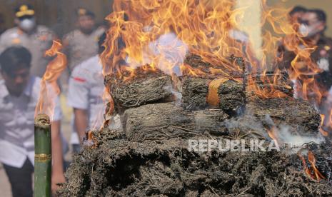 Personel Direktorat Narkoba Polda Aceh membakar barang bukti narkotika jenis ganja saat pemusnahan barang bukti di Polda Aceh, Banda Aceh, Aceh, Selasa (6/8/2024). Polda Aceh memusnahkan barang bukti narkotika jenis sabu seberat 226 kilogram dan ganja kering seberat 1,2 ton hasil penindakan kasus peredaran narkotika jaringan internasional Malaysia-Thailand-Aceh-Indonesia dalam kurun waktu tiga bulan terakhir, dengan jumlah tersangka 11 orang. 