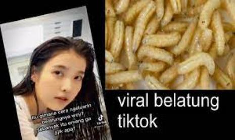 Video Belatung yang Viral di Tiktok 