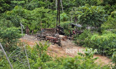 Pekerja mengangkut jerigen berisi minyak di tepi kolam penampungan minyak ilegal yang masih beroperasi di kawasan konsesi Hutan Harapan, Sumatera Selatan, Senin (4/11/2024). Pihak Hutan Harapan menyebutkan, sedikitnya 300 hektare lahan di wilayah itu telah beralih fungsi menjadi kawasan pertambangan minyak ilegal yang diperkirakan telah berlangsung sejak 2022. 