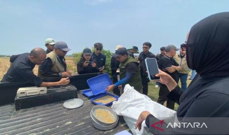 bulog-lampaui-target-serapan-beras-2026-capai-425-juta-ton