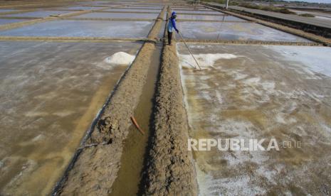 Petambak garam di Losarang, Indramayu, Jawa Barat (ilustrasi). Masih seringnya hujan turun membuat panen garam di Jawa Barat diprediksi mundur dari biasanya Juni-Juli menjadi Agustus-September.