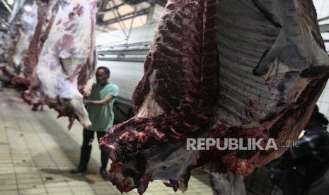 Pekerja memotong daging sapi di rumah pemotongan hewan (RPH) (ilustrasi).