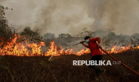 praktisi-dorong-penelusuran-keterlibatan-korporasi-dalam-kasus-karhutla