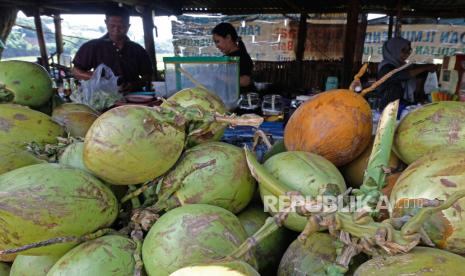 Vaksin kelapa setelah manfaat air Mengulik Fakta