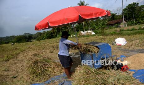 Petani memanen padi di area persawahan di Kulon Progo, Yogyakarta, Selasa (2/6). Kementerian Pertanian menyatakan masyarakat tidak perlu khawatir terkait informasi menipisnya ketersediaan pangan terutama stok beras. Hal ini untuk menanggapi sorotan dan pernyataan pengamat yang menyatakan ketersediaan stok pangan, terutama stok beras mulai menipis pada Juni 2020. 