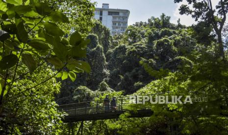 Sejumlah pengunjung beraktivitas di area Forest Walk di Hutan Kota Babakan Siliwangi, Jalan Tamansari, Kota Bandung, Ahad (7/8/2022). Kawasan wisata hutan kota yang menjadi sarana edukasi lingkungan dan memiliki fasilitas bagi pejalan kaki tersebut ramai dikunjungi oleh warga untuk mengisi waktu liburan akhir pekan. 