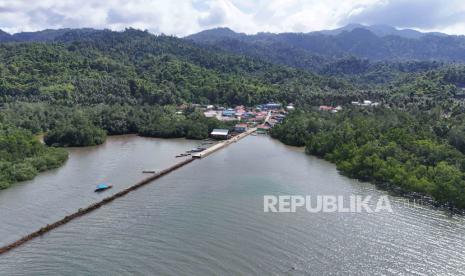 Ilustrasi mangrove. Rehabilitasi mangrove adalah tanggung jawab bersama