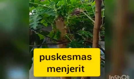 Video Jeritan Petugas Puskesmas untuk Wali Kota Risma, Ini Kata Pemkot