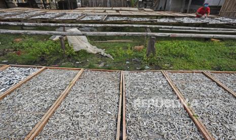 Pandemi mengubah pola konsumsi masyarakat termasuk konsumsi ikan.