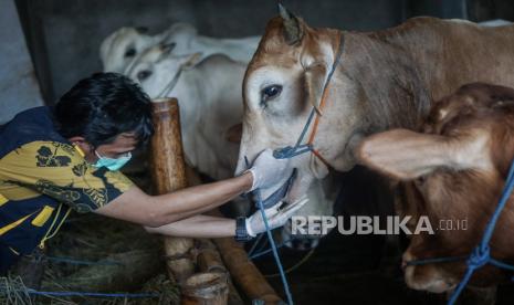 Kementerian Kesehatan (Kemenkes) menegaskan, Hari Raya Idul Qurban 1441 hijriah (H) harus tetap melaksanakan protokol kesehatan. Dalam pelaksanaannya, warga harus membawa perlengkapan shalat sendiri, memakai masker wajah, hingga tidak berkerumun saat penyembelihan hewan qurban.