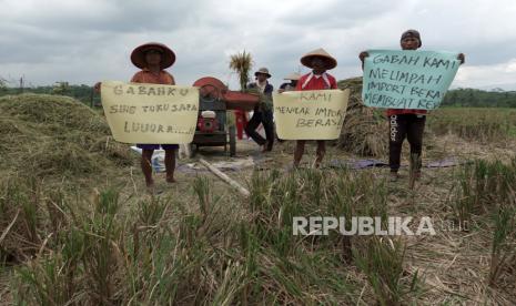 Sejumlah petani dan anggota Persatuan Penggilingan Padi (Perpadi) DPC Kabupaten Purbalingga melakukan aksi menolak rencana impor beras di Desa Brobot, Bojongsari, Purbalingga, Jateng, Selasa (23/03/2021). Perpadi Purbalingga mengkhawatirkan rencana impor beras akan semakin menekan harga gabah kering panen yang saat ini turun dari Rp4.300 menjadi Rp3.500 per kilogram akibat rendahnya penyerapan yang berbarengan dengan panen raya pada bulan maret ini