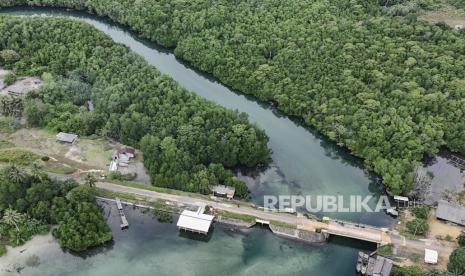 Foto udara kawasan konservasi mangrove Desa Wisata Pengudang, Bintan, Kepulauan Riau, Ahad (29/9/2024). 