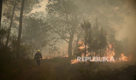 Seorang petugas pemadam kebakaran berjalan di antara api di kebakaran hutan dekat Louchats, 35 km (22 mil) dari Landiras di Gironde, Prancis barat daya, Senin, 18 Juli 2022. Prancis mengerahkan lebih banyak pesawat pengebom air dan ratusan petugas pemadam kebakaran lainnya untuk memerangi penyebaran kebakaran hutan yang diberi makan Senin oleh angin berputar-putar panas dari gelombang panas yang membakar sebagian besar Eropa. Dengan arah angin yang berubah, pihak berwenang di barat daya Prancis mengumumkan rencana untuk mengevakuasi lebih banyak kota dan memindahkan 3.500 orang yang berisiko berada di jalur kobaran api.