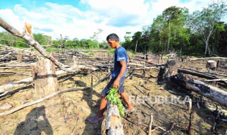 Warga Suku Anak Dalam (SAD) atau Orang Rimba bersiap menanam singkong di ladang perkebunan miliknya di Pelepat, Bungo, Jambi, Jumat (2/10). Sebanyak 3.160 Warga Suku Anak Dalam Telah Miliki NIK. (ilustrasi) 