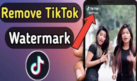 Ssstiktok Apk TikTok Download Video Tanpa Watermark mp4