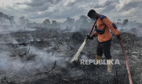 Petugas pemadam kebakaran melakukan proses pendinginan lahan gambut yang terbakar.