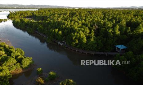 Foto udara lokasi wisata tracking mangrove di Teluk Kendari, Kendari, Sulawesi Tenggara, Jumat (1/7/2022). Badan Restorasi Gambut dan Mangrove (BRGM) akan merehabilitasi hutan mangrove seluas 11 ribu hektare pada tahun 2022. 