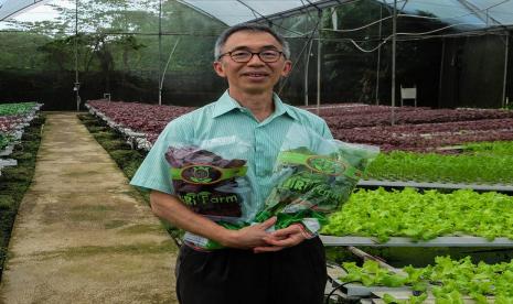 Jimmy Halim,founder &ownerJirifarm: Hidroponik bisa memberikan keuntungan