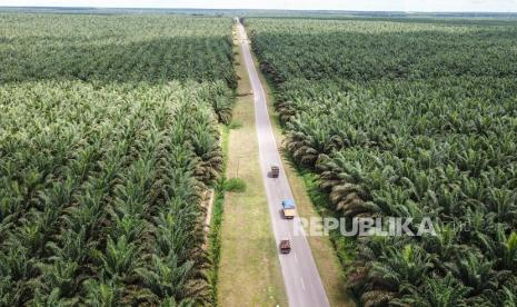 Foto udara kendaraan melintas di areal perkebunan sawit milik salah satu perusahaan di Pangkalan Banteng, Kotawaringin Barat, Kalimantan Tengah, Senin (7/11/2022). 