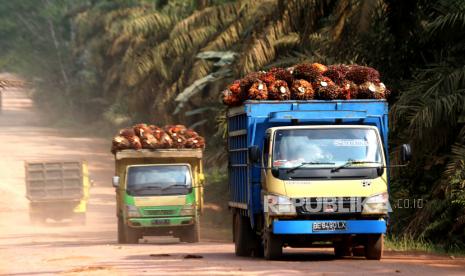 Truk bermuatan kelapa sawit menuju pabrik Permata Bunda di Pematang Panggang, Mesuji, Ogan Komering Ilir, Sumatera Selatan, Senin (17/7/2023). US Department of Agriculture (USDA) memprediksi produksi minyak sawit Indonesia pada 2023-2024 mencapai 46 juta metrik ton atau naik 3 persen dari periode 2022-2023 yakni sebesar 44,7 juta metrik ton jika tidak ada perubahan cuaca yang ekstrem.  