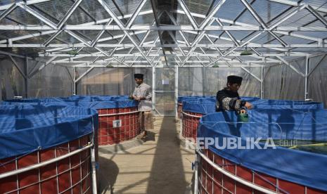 Santri memberi pakan ikan lele di Pondok Pesantren Miftahul Hidayah Sayuran, Cigedug, Kabupaten Garut, Jawa Barat.  Pemerintah Kabupaten (Pemkab) Garut melakukan antisipasi munculnya klaster Covid-19 di lingkungan pesantren. Sejumlah pimpinan pesantren di Kabupaten Garut telah dikumpulkan untuk diingatkan agar penerapan protokol kesehatan di lingkungan mereka tetap dilakukan dengan ketat. 