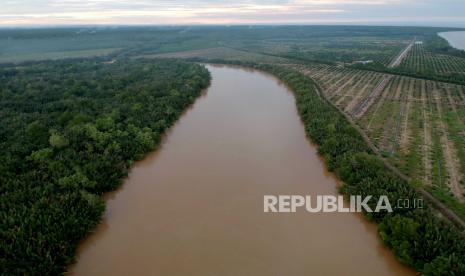 Foto udara kondisi tutupan hutan mangrove di kawasan penyangga Cagar Alam Hutan Bakau Pantai Timur Sumatera yang sebagiannya telah beralih fungsi menjadi areal perkebunan kelapa sawit di Mendahara, Tanjungjabung Timur, Jambi, Jumat (10/7/2020). Maraknya alih fungsi lahan mangrove menjadi perkebunan kelapa sawit skala besar di daerah itu terus mengancam keberadaan Cagar Alam Hutan Bakau Pantai Timur Sumatera.