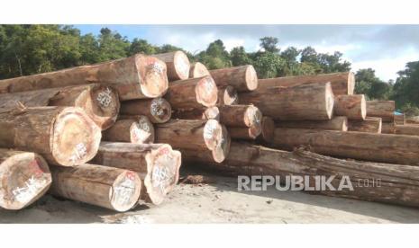 Kayu tiga Ribu Kubik dari Tanah Ulayat Ditahan Warga di Mentawai.