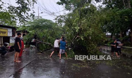 Petugas dan warga membersihkan pohon tumbang yang menutup Jalan (ilustrasi).