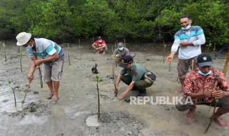 Pemkot Probolinggo Tanam 1.000 Mangrove Dukung Presidensi G20 (ilustrasi).