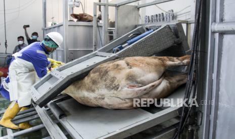 Masyarakat Garut Diminta Potong Qurban di RPH (ilustrasi).