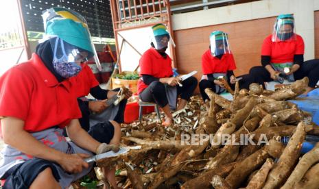 Pekerja mengupas singkong untuk diolah menjadi keripik balado. Kontraksi ekonomi akibat pandemi membuat Sulut memutuskan tak naikkan UMP 2021. Ilustrasi.