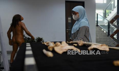 Pengunjung mengamati patung rekonstruksi Homo Floresiensis saat berkunjung ke kawasan Sains RP Soejono, BRIN, Pejaten, Pasar Minggu, Jakarta Selatan, Rabu (4/10/2023). Badan Riset dan Inovasi Nasional (BRIN) memperingati 20 tahun penemuan fosil manusia purba atau Homo Floresiensis. Pameran tersebut bertajuk The Commemoration of the 20th Anniversary of Homo Floresiensis Discovery dengan menyajikan pameran fosil serta diksusi ilmiah bersama arkeolog nasional dan luar negeri terkait penemuan fosil Homo Floresiensis. The Hobit Flores atau manusia purba kerdil asal Flores tersebut memiliki keunikan karena bentuk tengkoraknya yang lebih kecil dari tengkorak manusia modern dan juga memiliki tinggi badan 106 centimeter dengan bobot tubuh 27,5 kilogram. Homo Floresiensis ditemukan di situs Liang Boa yang merupakan gua di perbukitan karst Kabupaten Manggarai, Flores pada tahun 2003. Meski demikian proses penelitaian tersebut sudah berlangsung dari tahun 1965. Berdasarkan hasil uji laboratorium, fosil Homo Floresiensis berusia sekitar tiga puluhan ribu tahun yang lalu.