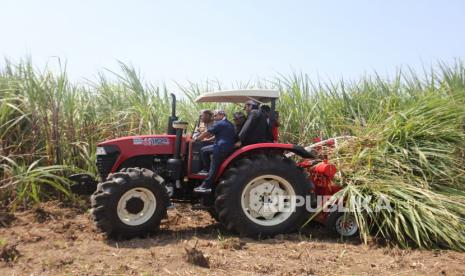 Menteri Pertanian Syahrul Yasin Limpo (Mentan SYL) menggelar panen dan tanam tebu untuk gula konsumsi di Desa Sidamulya, Kecamatan Astanajapura, Kabupaten Cirebon, Selasa (11/7/2023).