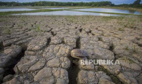 Puluhan rumah warga di Kampung Nyalindung, Kabupaten Sukabumi, Jawa Barat rusak pada bagian dinding, lantai, pondasi dan lainnya akibat terdampak pergerakan tanah. Foto: Ilustrasi pergerakan tanah