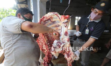 Dokter hewan Dinas Ketahanan Pangan dan Pertanian, Pujiono (kanan) mengamati daging sapi saat sidak kelayakan daging kurban di Rumah Potong Hewan (RPH) Kota Kediri, Jawa Timur, Rabu (21/7/2021). Sidak guna menangkal peredaran daging kurban tidak layak konsumsi di RPH tersebut menenukan cacing hati pada enam ekor sapi. 