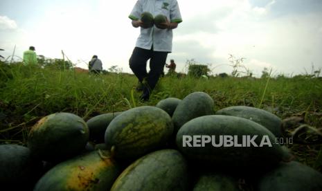 Center for Indonesia Policy Studies, menilai, Indonesia belum mencapai ketahanan pangan. Aspek keterjangkauan pangan bagi masyarakat dinilai kerap luput dari perhatian pemerintah.